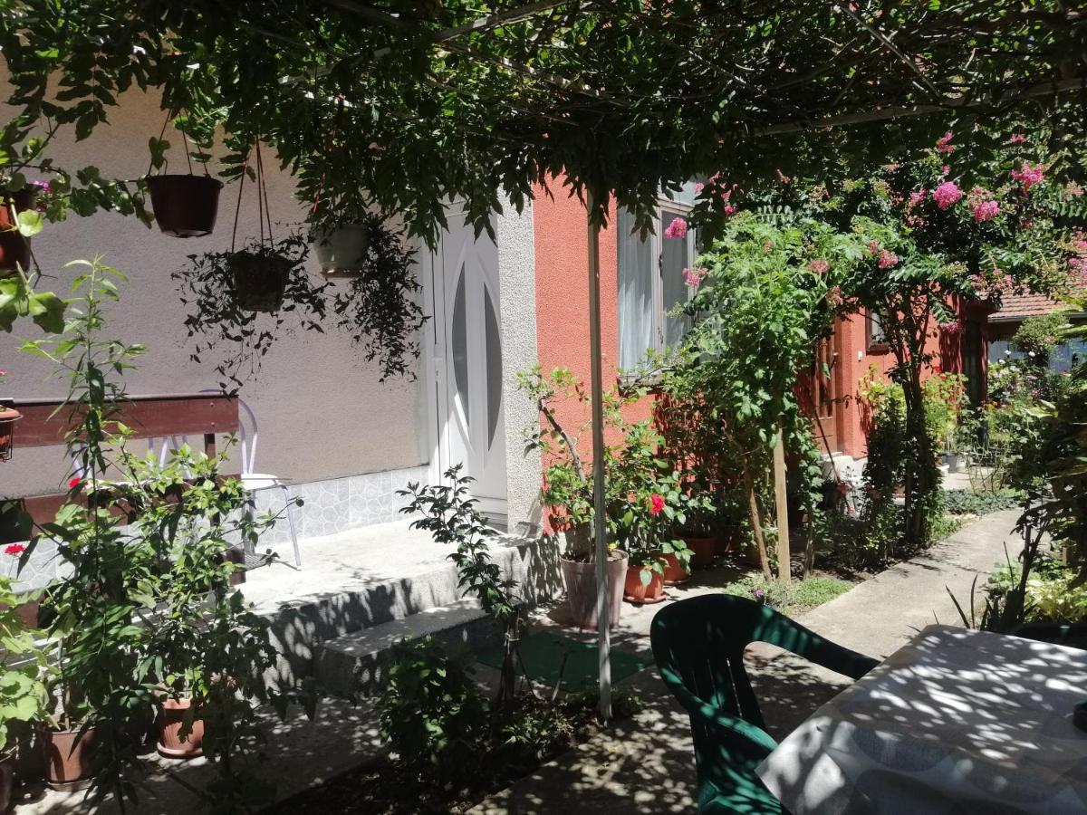 Apartman Nana Jagodina Dış mekan fotoğraf