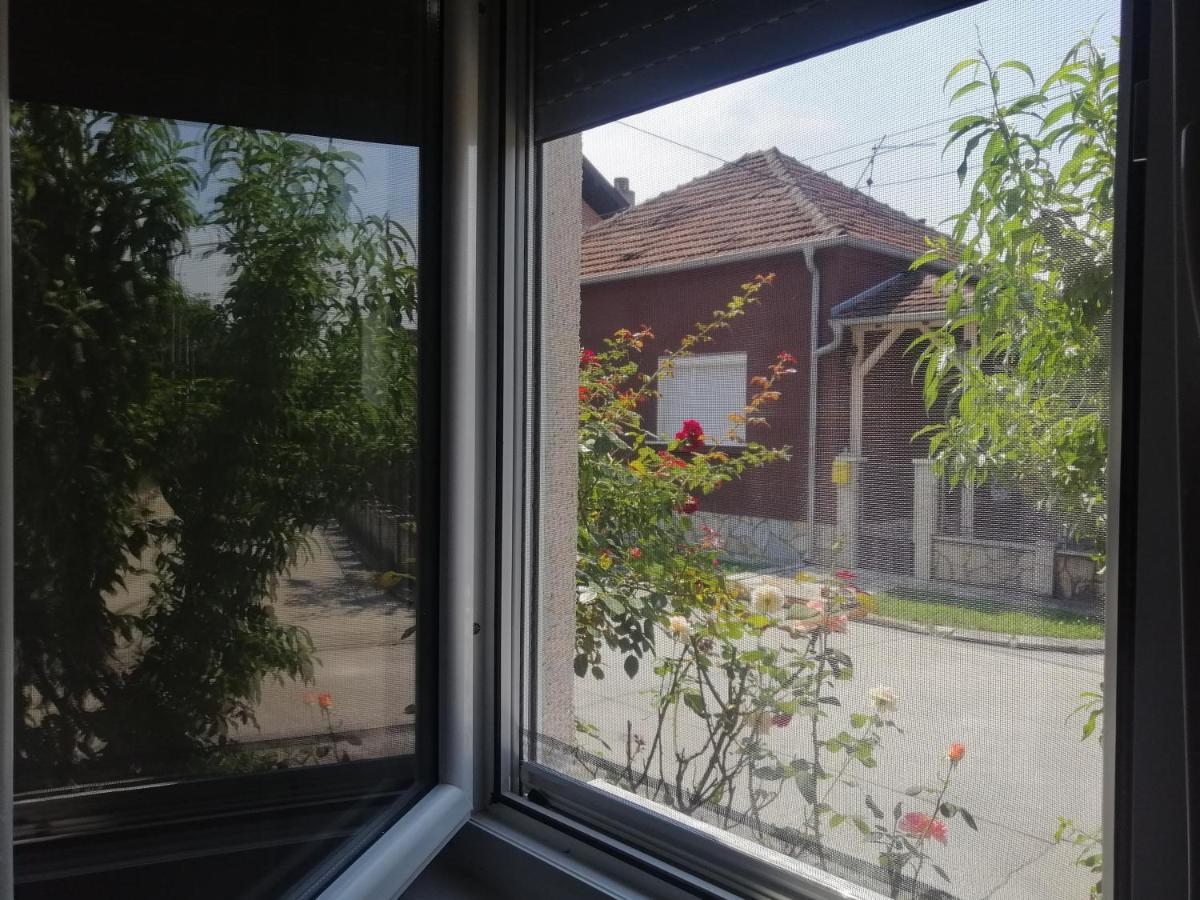 Apartman Nana Jagodina Dış mekan fotoğraf
