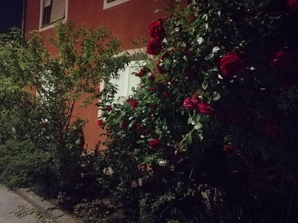 Apartman Nana Jagodina Dış mekan fotoğraf
