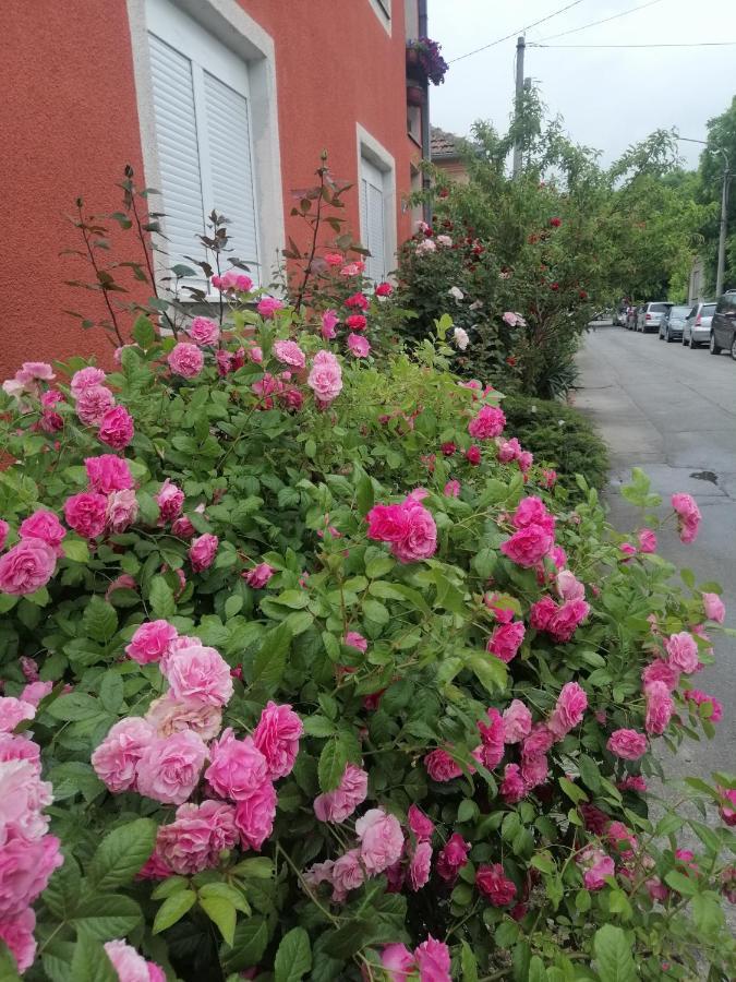 Apartman Nana Jagodina Dış mekan fotoğraf
