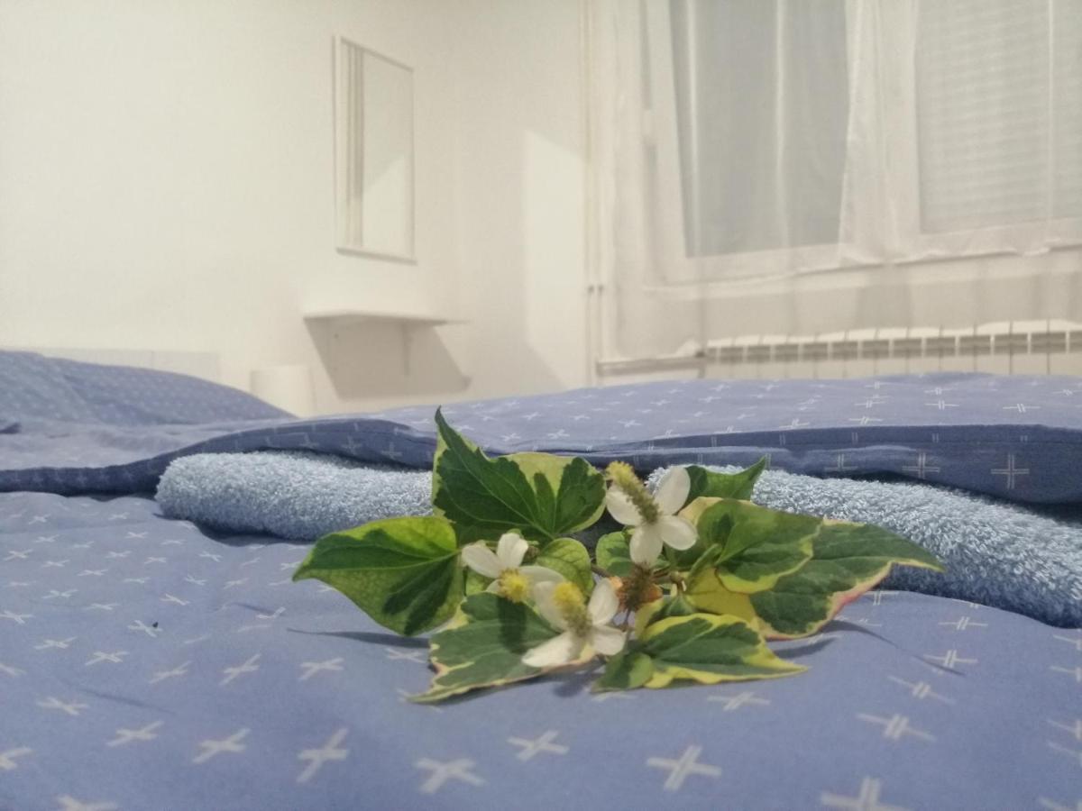 Apartman Nana Jagodina Dış mekan fotoğraf