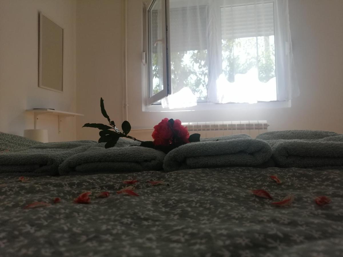 Apartman Nana Jagodina Dış mekan fotoğraf