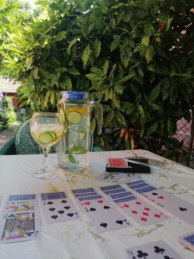 Apartman Nana Jagodina Dış mekan fotoğraf