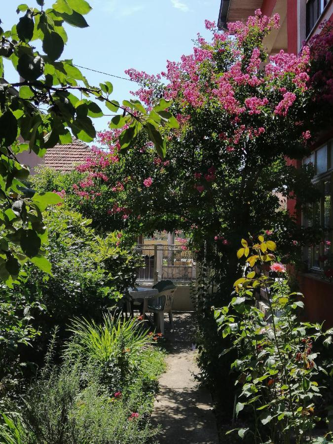 Apartman Nana Jagodina Dış mekan fotoğraf